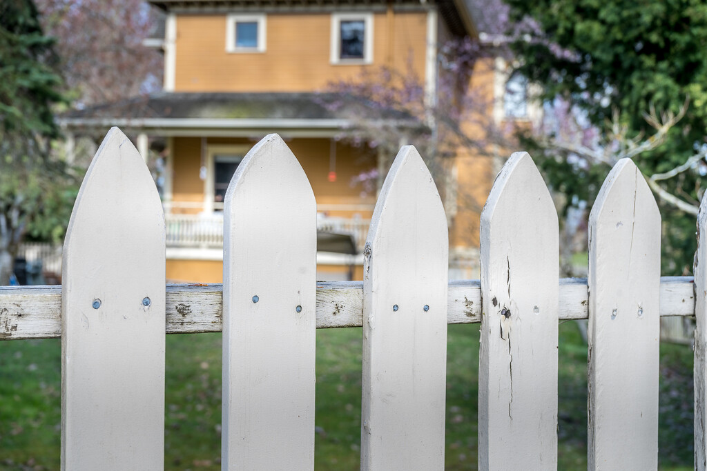 Picket Fence  by cdcook48