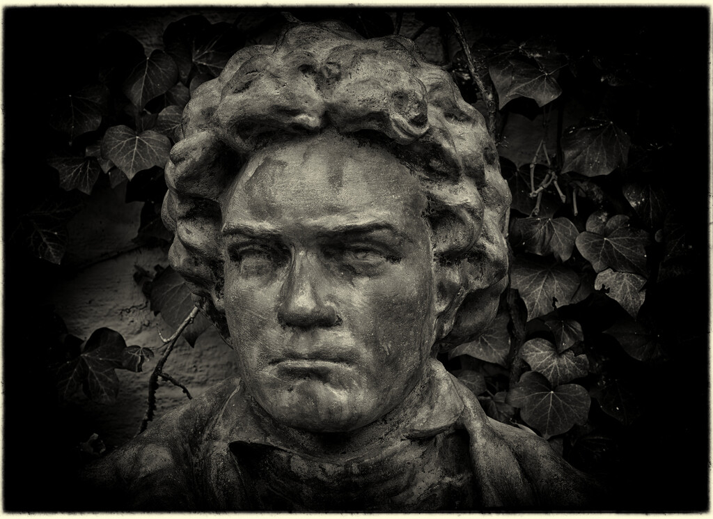 1414 - Mr. Beethoven by bob65