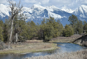 14th Apr 2023 - Mission Creek In Bison Range