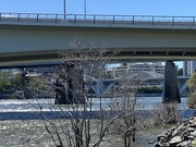 15th Apr 2023 - Bridge