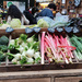 Vegetables  by franbalsera