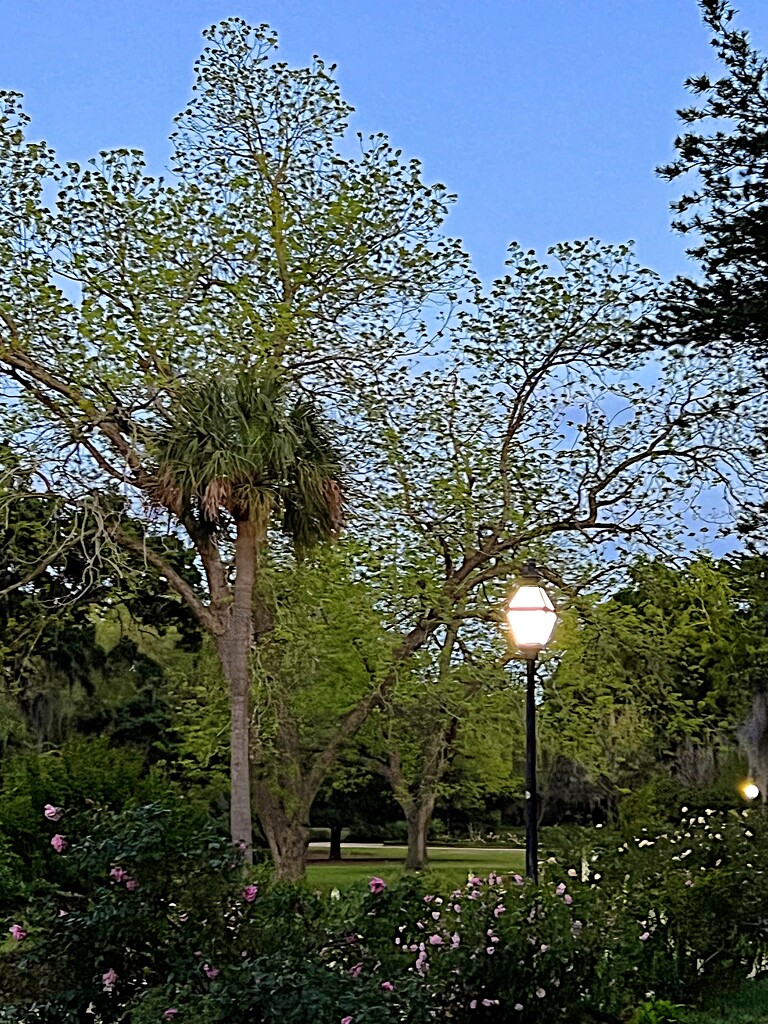 Hampton Park at twilight by congaree