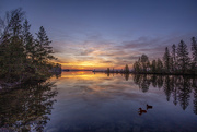 15th Apr 2023 - Balsam Lake Duck Sunrise 