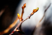 15th Apr 2023 - Signs of Life