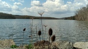 15th Apr 2023 - At the Lake