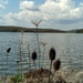 At the Lake by julie