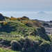 The view from Dunure with Ailsa Craig in the distance.  by samcat