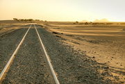 16th Apr 2023 - Desert train