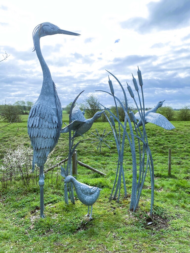 iron bird sculpture by cam365pix