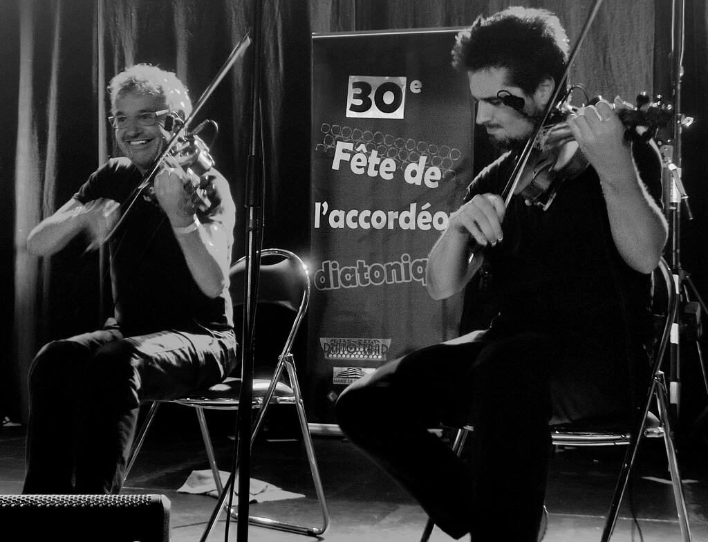 Poitou fiddlers  by boxplayer