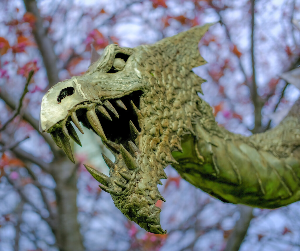 The Dragon Sneinton  by 365nick