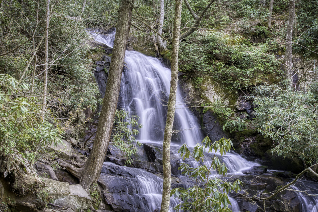  Laurel Falls by kvphoto
