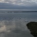 Swan lake. by wakelys