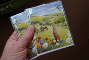16th Apr 2023 - bought some tiny cards