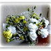 Carnations  by beryl