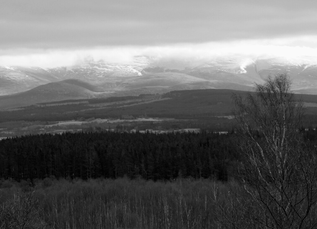 Mar 7th Across the Spey Valley by valpetersen