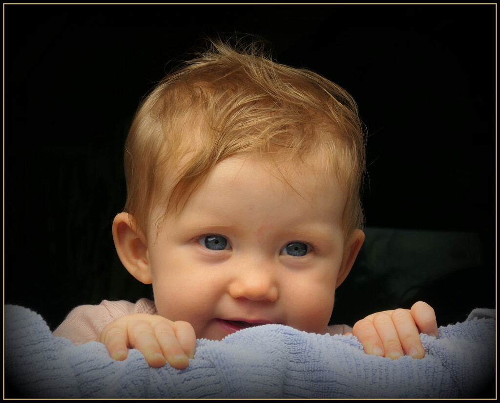 Baby blue eyes by dide