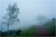 17th Apr 2023 - Black Hill in the fog