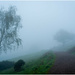 Black Hill in the fog by clifford