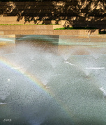 12th Apr 2023 - Rainbow at the Water Gardens