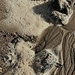 Sand patterns , rocks and foam  by Dawn