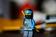 17th Apr 2023 - The Ninja