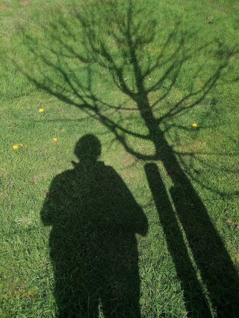 A tree and me by kimka