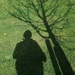 A tree and me