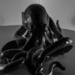 octopus_1 by darchibald