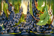 18th Apr 2023 - Half swirl grapes