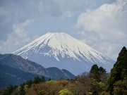 17th Apr 2023 - Mt Fuji In All Her Glory P4178385