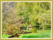 18th Apr 2023 - The Flamingo Pond,Coton Manor Gardens