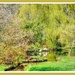 The Flamingo Pond,Coton Manor Gardens by carolmw