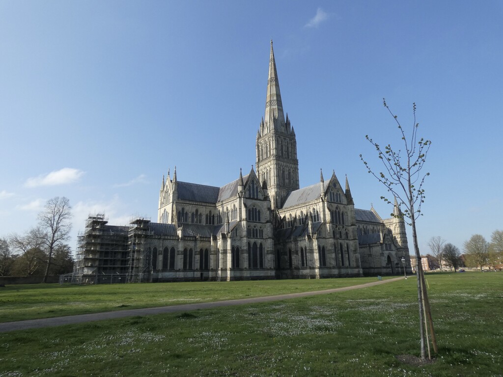 Salisbury Cathedral by foxes37