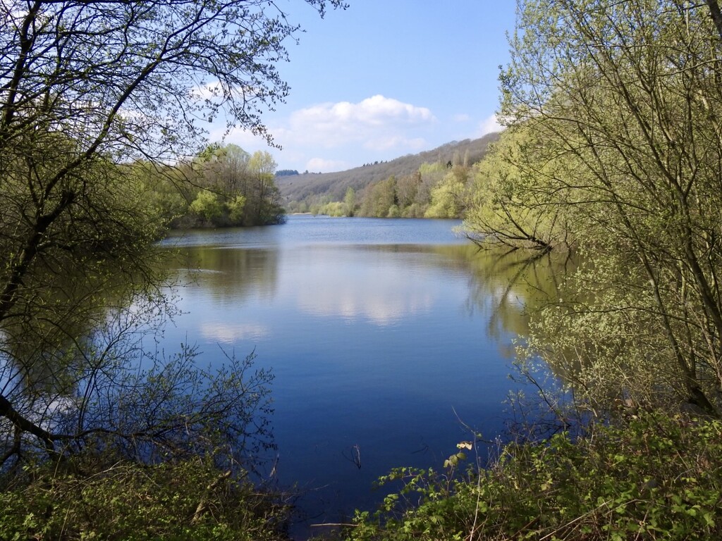 Bodenham Lake Nature Reserve by susiemc