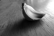 18th Apr 2023 - Portrait of a Garlic Clove in Black & White