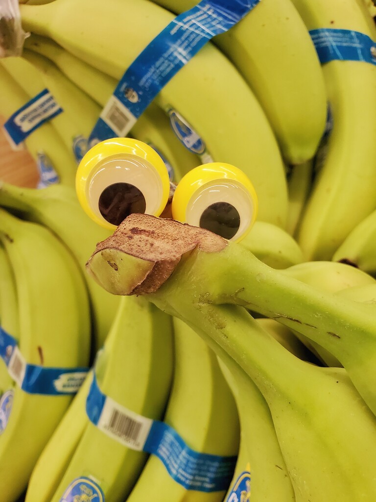 Just bananas by edorreandresen