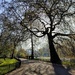 Spring morning in the park  by boxplayer