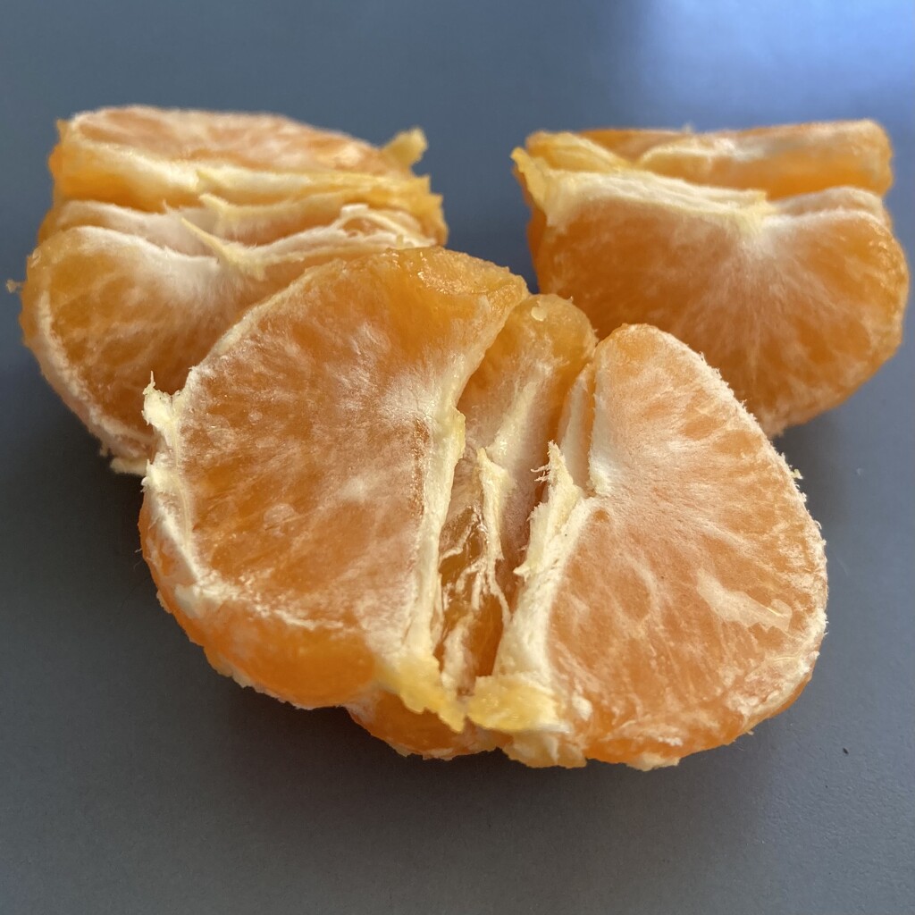 Mandarin by narayani