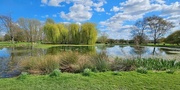 19th Apr 2023 - Wellhead Park, Bourne, Lincolnshire