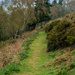 Path up the hills by clifford