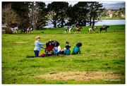 20th Apr 2023 - Great spot for a picnic... and a horse ride..