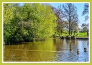 20th Apr 2023 - Lake View,Abington Park