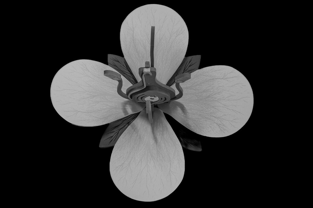 science flower by darchibald