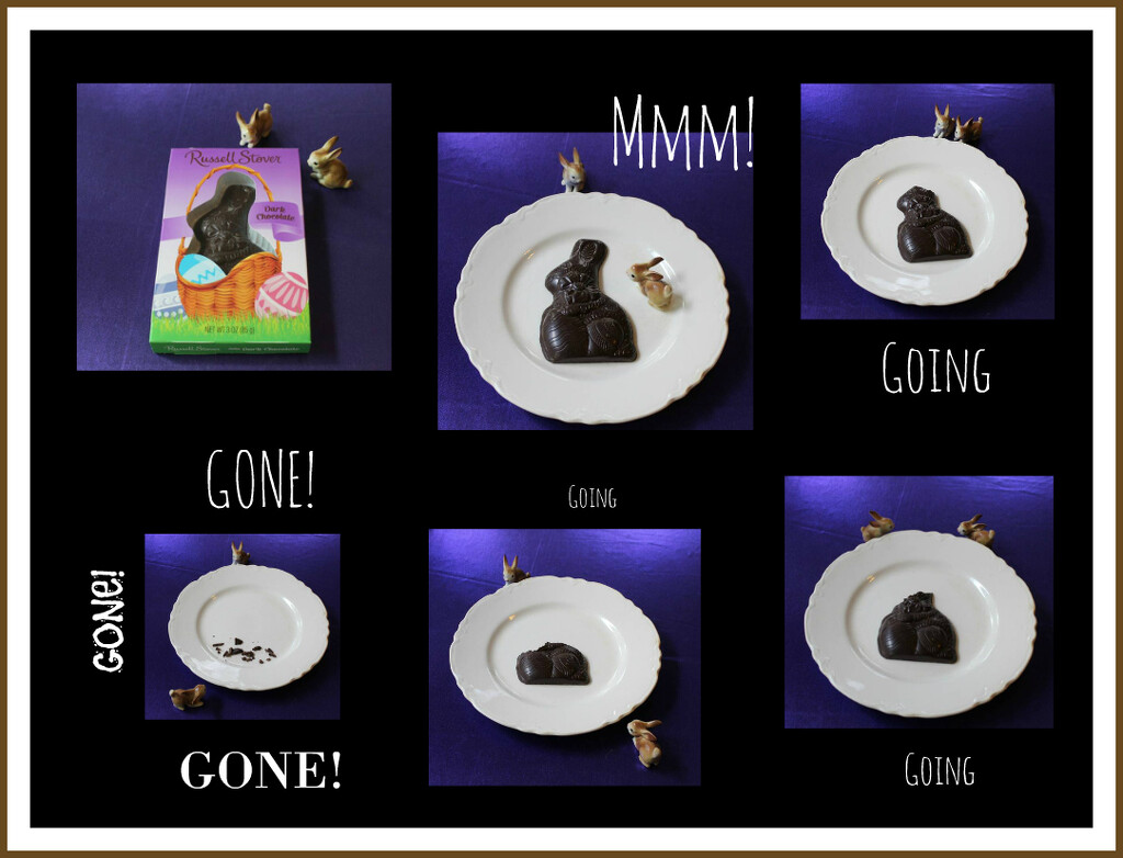 Chocolate Bunny by mcsiegle
