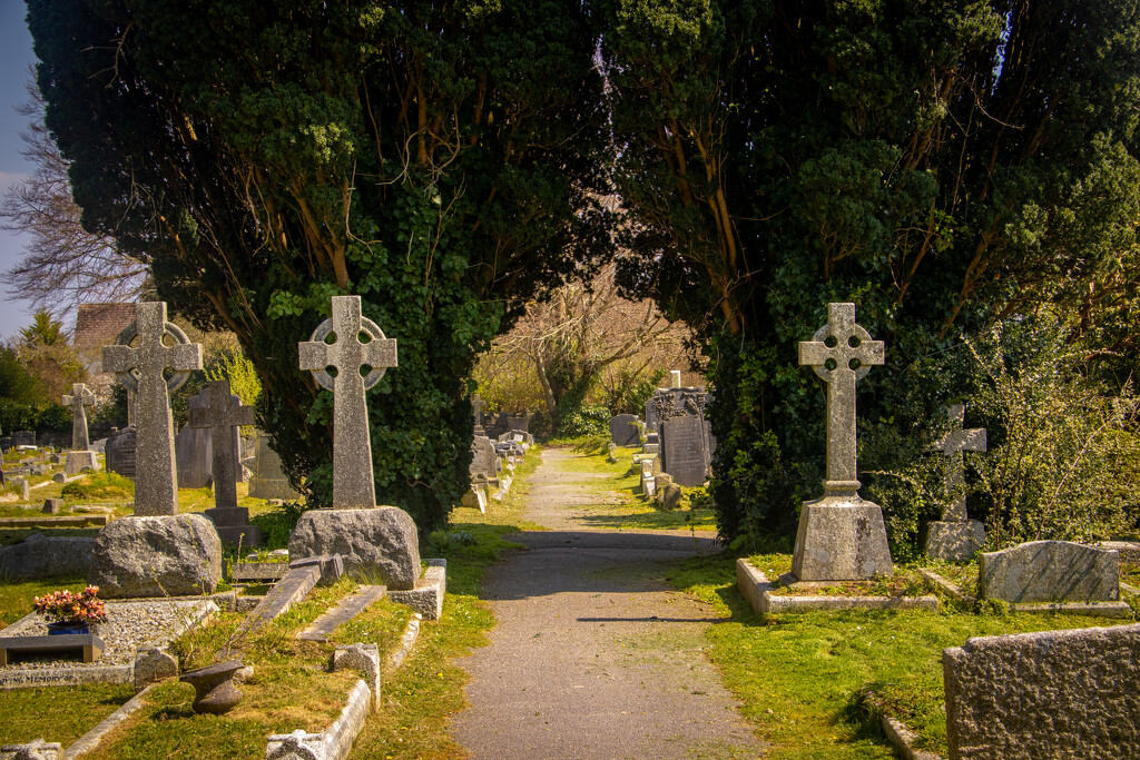 A walk in the graveyard by swillinbillyflynn