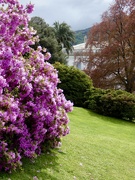 21st Apr 2023 - Vibrant colour in the gardens of the Villa Melzi