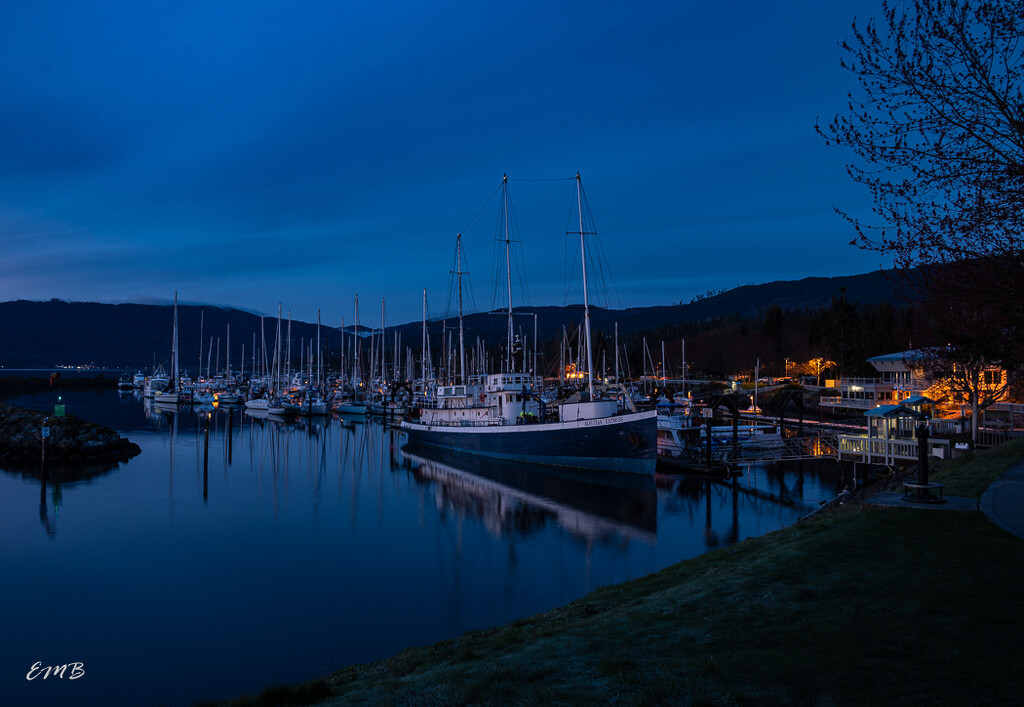 Blue Hour at the Marina by theredcamera