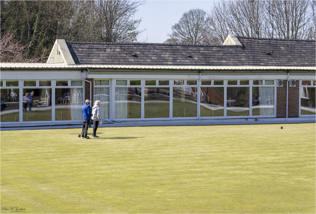 Ladies playing bowls by pcoulson