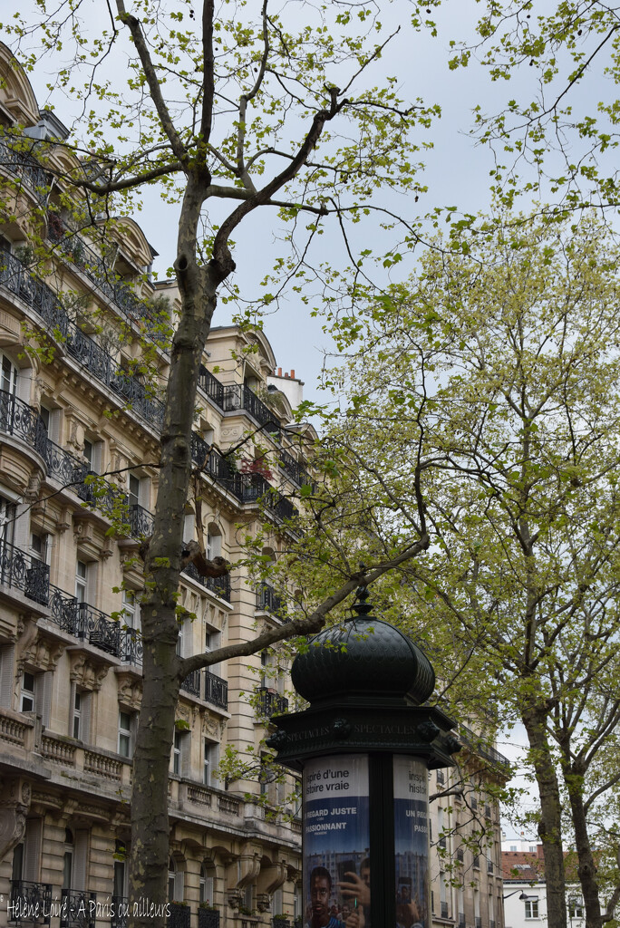 boulevard Raspail by parisouailleurs